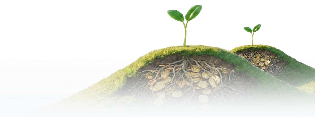 SEO optimization for more conversions