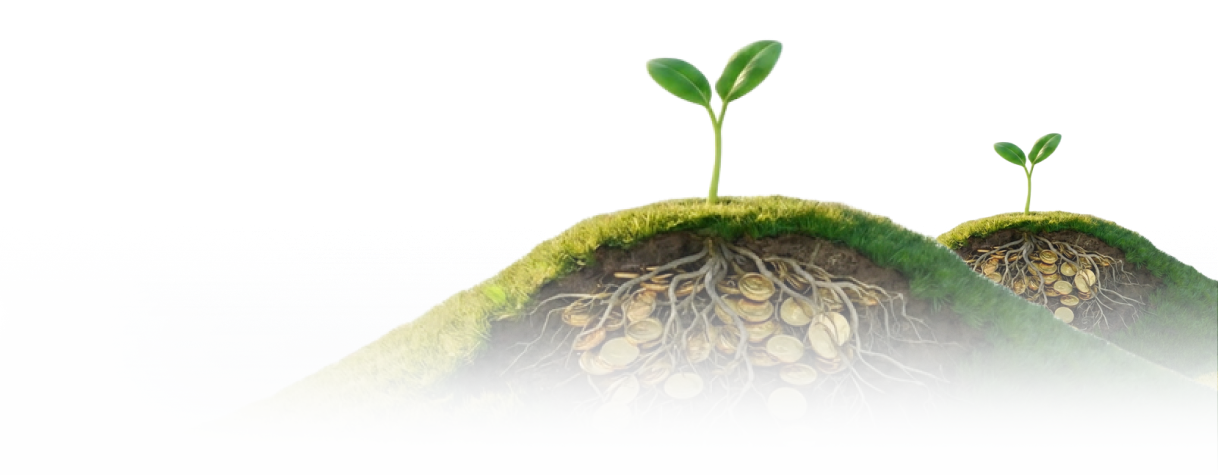 Spend less. Build smarter. Focus on your business.
